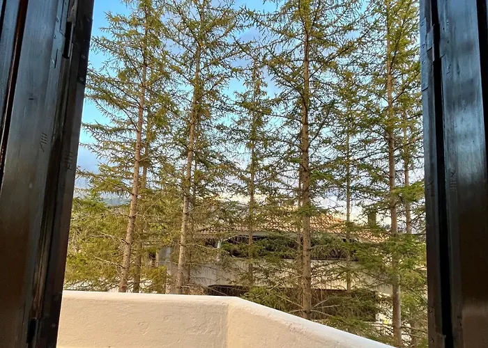 Dei Conti Casa vacanze